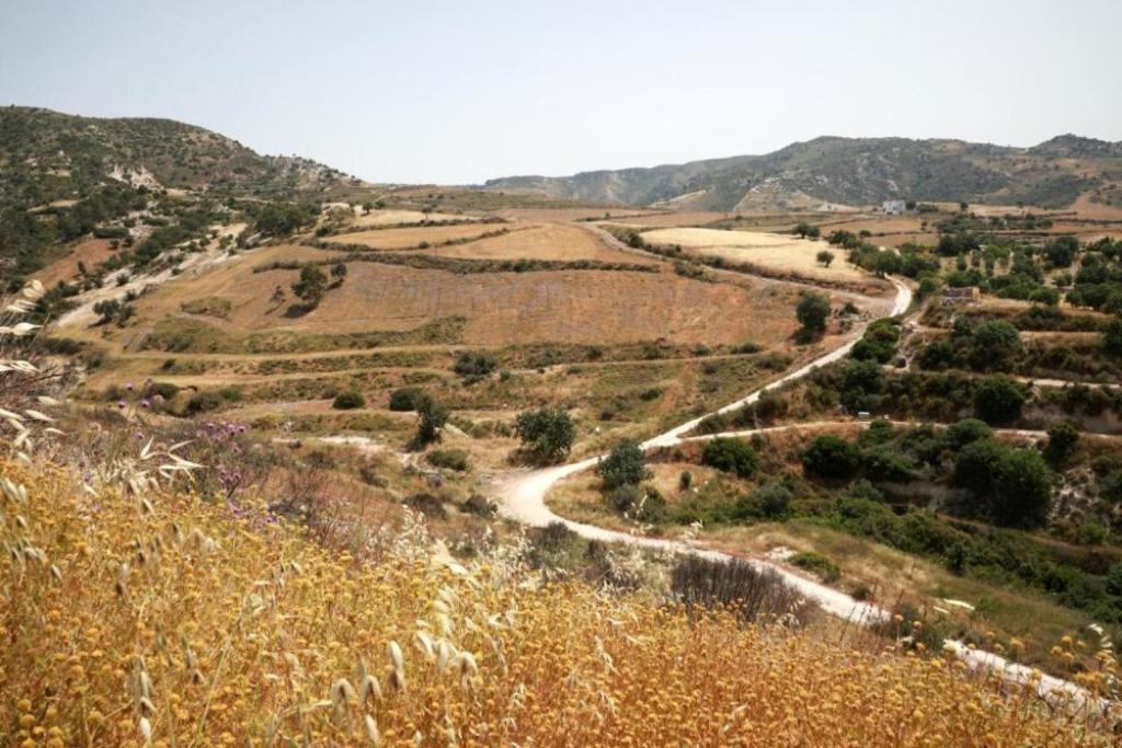 Panoramic Holidays Peyia Exterior photo